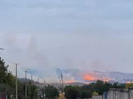 В Донецкой области вспыхнул масштабный лесной пожар (видео)