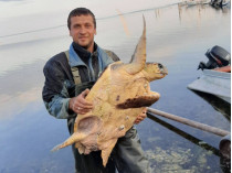 В Скадовске поймали морскую черепаху