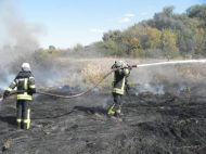 Названо количество жертв масштабных пожаров на Луганщине