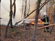 Новый поджог совершили на Луганщине – там стали взрываться боеприпасы