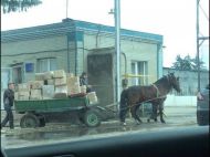 На Ровенщине посылки "Новой почты" доставляют на телегах с лошадьми: реакция сети