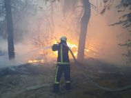 Масштабные лесные пожары на Луганщине: ГБР завело дело на руководство облуправления ГСЧС