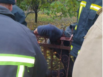 Висел на заборе и истекал кровью: под Одессой мужчину спасали с помощью бензореза