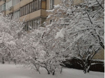 Какая погода будет зимой: синоптик дал прогноз для Украины