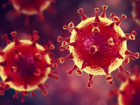 Новый антирекорд в Украине: почти 11 тысяч заболевших коронавирусом за сутки