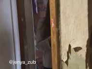 "Просто ужас": сеть шокировала семья из Харькова, кормившая маленьких детей собаками