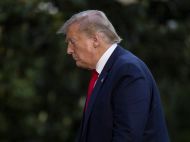 Вылитый Дональд Трамп: фотопортрет акулы произвел сенсацию в сети