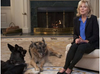 Джилл Байден с собаками