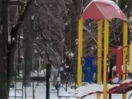 Мужчина подорвал себя гранатой на&nbsp;детской площадке в&nbsp;Киеве: первые подробности
