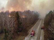 В&nbsp;Украине повысили штрафы за&nbsp;сжигание растительности в&nbsp;экосистемах