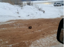 «Дорога в ад»: в России подсыпали дорогу песком с человеческими костями