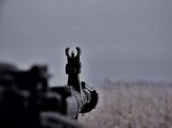 На&nbsp;Донбасі у&nbsp;селища Шуми від кулі ворога загинув український військовослужбовець