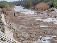 Брак води в&nbsp;Криму: окупанти пред'являть позов трьом громадянам України