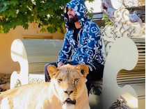 Саїд Джавід і лев