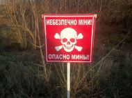 Страшні цифри: в&nbsp;ООН назвали число дітей, які загинули через міни на&nbsp;Донбасі