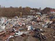 Валяються трупи, поруч бродять свині: відео з&nbsp;величезною звалища під Києвом шокувало користувачів мережі