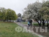 Заморозки та&nbsp;мокрий сніг: синоптик дала прогноз погоди на&nbsp;Вербну неділю