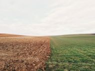 Рада приняла поправки в&nbsp;Земельный кодекс: какие изменения ожидают украинцев