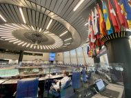 &laquo;Бан&raquo; Гончаренка у&nbsp;ПАРЄ: стало відомо, як&nbsp;діятиме українська делегація
