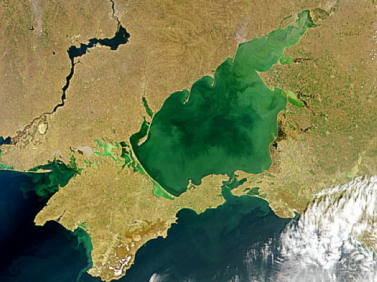 Азовське море