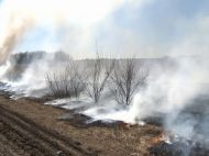 Пыталась сжечь или потушить? Под Полтавой в&nbsp;пламени пожара погибла женщина