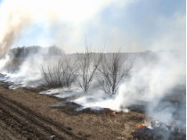 Выжигание сухой травы