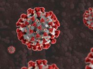 Науковці з&rsquo;ясували, чи&nbsp;рятують вакцини Pfizer і&nbsp;AstraZeneca від &laquo;індійського&raquo; штаму коронавірусу