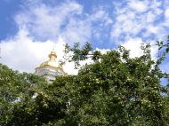 Почти климатическая норма: синоптики рассказали, каким будет июнь