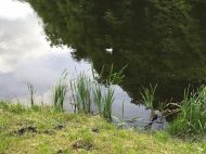 Потепління та&nbsp;дощ: прогноз погоди на&nbsp;4 червня