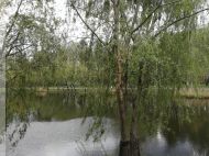 &laquo;Жовтий рівень&raquo;: у&nbsp;Києві оголошено штормове попередження