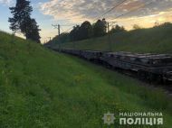 Переходила залізничні колії в&nbsp;навушниках: на&nbsp;Львівщині потяг насмерть збив жінку