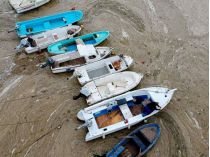 Катера и лодки застряли в "морских соплях" в Мраморном море