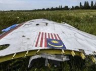 Катастрофа MH17 на&nbsp;Донбасі: пов'язані з&nbsp;Росією хакери Cozy Bear, ймовірно, атакували поліцію Нідерландів
