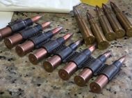 Розстріл сім'ї під Житомиром: жертв стало більше