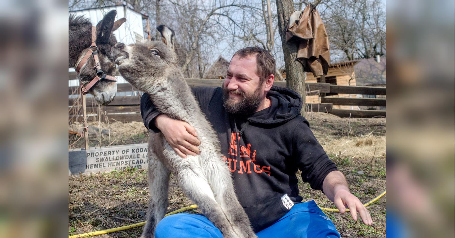 «Ми продаємо осляче молоко по 1000 гривень за літр. Ціна відповідає трудовитратам»