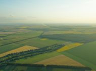На&nbsp;Чернігівщині селяни звинуватили у&nbsp;махінаціях фірму, яку пов&rsquo;язують з&nbsp;агрохолдингом &laquo;Кернел&raquo;,&nbsp;&mdash; ЗМІ