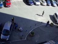 Собака бывает кусачей: в&nbsp;Киеве ротвейлер едва не&nbsp;растерзал щенка вместе с&nbsp;хозяином