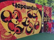 У&nbsp;Мелітополі створили неймовірну картину з&nbsp;330 кілограмів черешні
