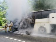 У&nbsp;Росії зіткнулися два автобуси з&nbsp;дітьми: є&nbsp;постраждалі