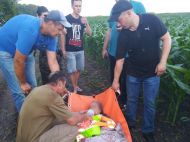 Під Балаклією 86-річна бабуся провела три доби без їжі та&nbsp;води у&nbsp;лісі