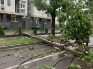 Місто залишилося без світла і&nbsp;громадського електротранспорту: Львів накрила потужна буря
