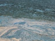 Купання у&nbsp;Дніпрі загрожує дерматитом: головна водна артерія України почала цвісти й&nbsp;гнити