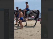 кінь на пляжі