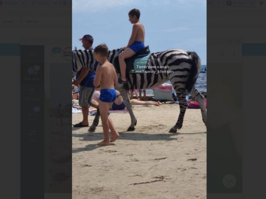 лошадь на пляже