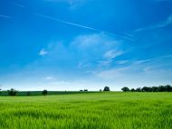 С&nbsp;1&nbsp;июля в&nbsp;Украине разрешена продажа земли. Но&nbsp;стать землевладельцами могут не&nbsp;все