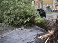 Друга за&nbsp;тиждень буря накрила Львів: транспорт не&nbsp;працює, жителів просять не&nbsp;виходити з&nbsp;будинків