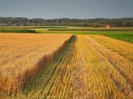 Ринок землі в&nbsp;Україні: хто зможе купити землю з&nbsp;1 липня