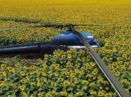 У&nbsp;Росії вертоліт впав на&nbsp;поле соняшників, пілот зник