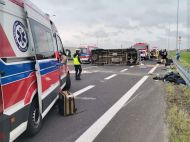 Мікроавтобус з&nbsp;українцями потрапив у&nbsp;ДТП в&nbsp;Польщі: серед постраждалих&nbsp;&mdash; 11-річний хлопчик