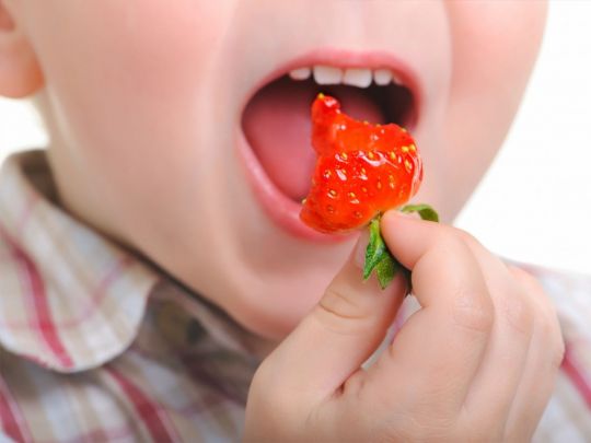Правильные пищевые привычки: Комаровский объяснил, нужно ли ограничивать детей во фруктах